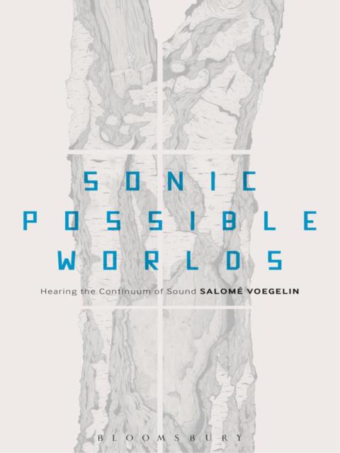 Cover image for book Sonic Possible Worlds