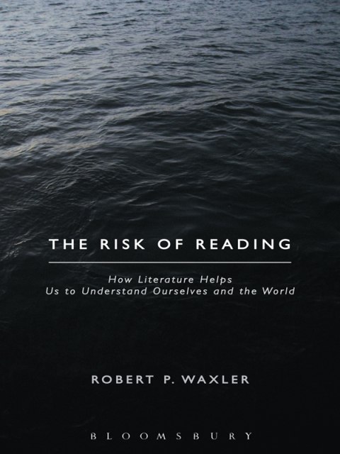 Cover image for book The Risk of Reading