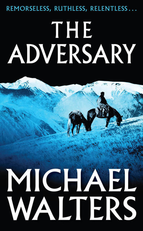 Cover image for book The Adversary