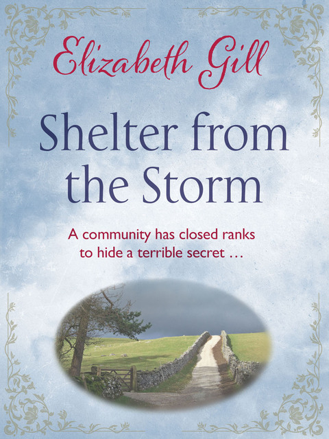 Cover image for book Shelter from the Storm
