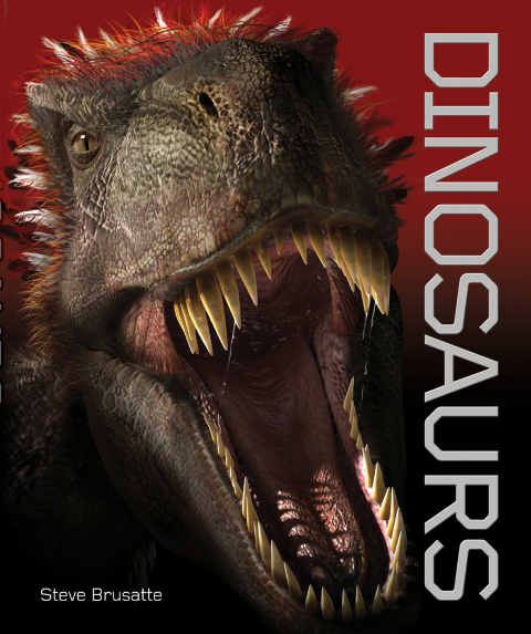 Cover image for book Dinosaurs