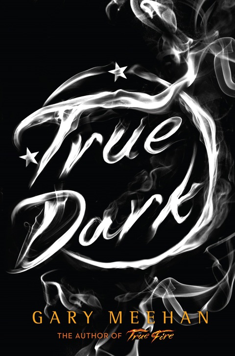 Cover image for book True Dark