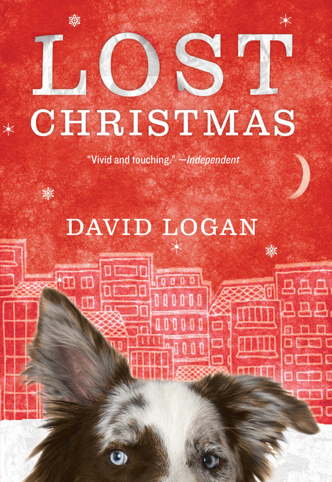 Cover image for book Lost Christmas