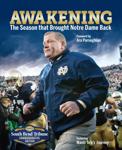 Cover image for book Awakening