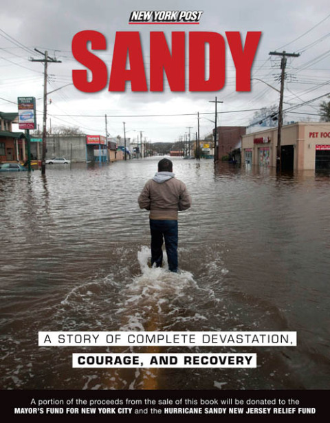 Cover image for book Sandy