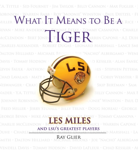 Cover image for book What It Means to Be a Tiger