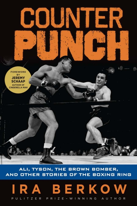 Cover image for book Counterpunch