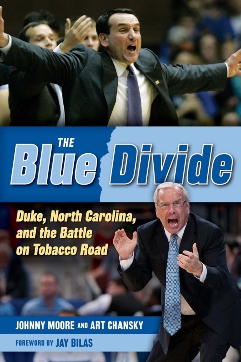 Cover image for book The Blue Divide