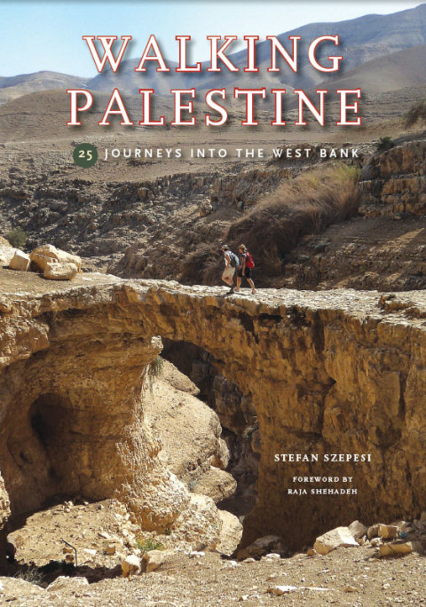 Cover image for book Walking Palestine