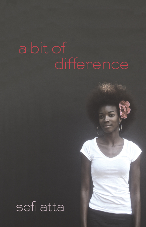 Cover image for book A Bit of Difference