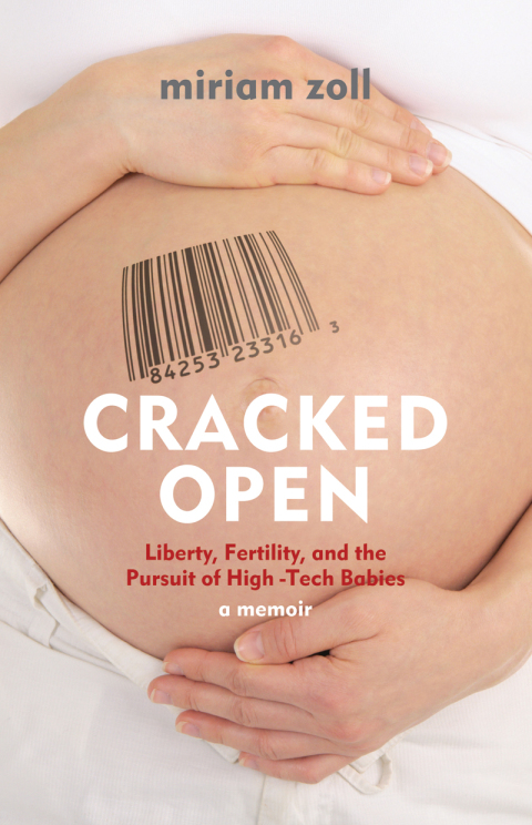 Cover image for book Cracked Open