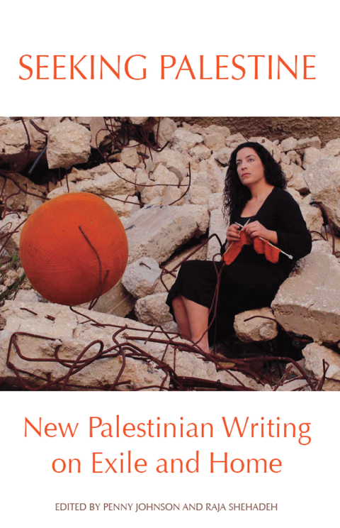 Cover image for book Seeking Palestine
