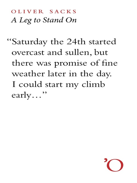 Cover image for book A Leg to Stand On