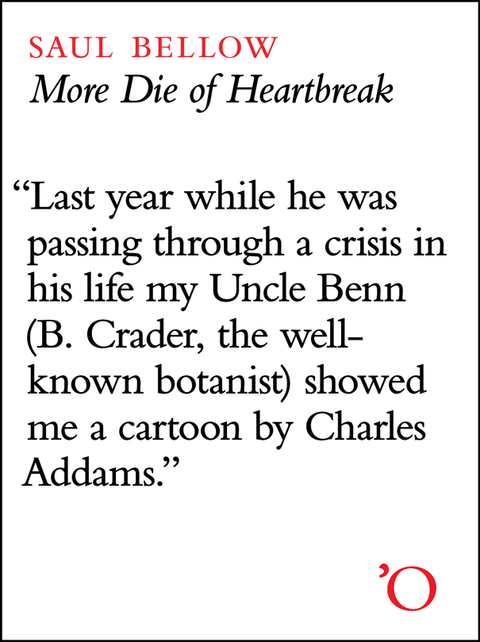 Cover image for book More Die of Heartbreak