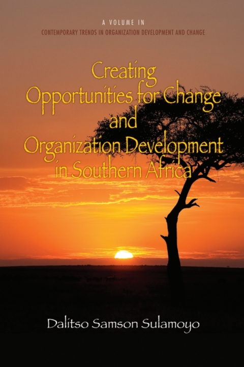 Cover image for book Creating Opportunities for Change and Organization Development in Southern Africa