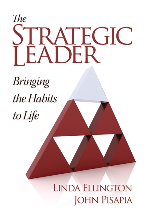 Cover image for book The Strategic Leader