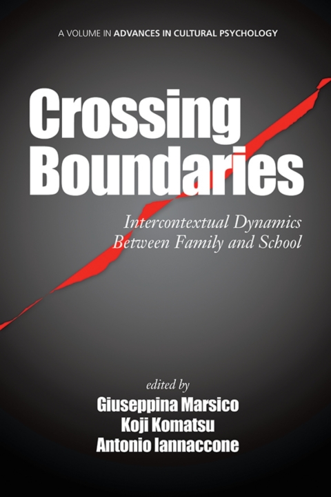 Cover image for book Crossing Boundaries