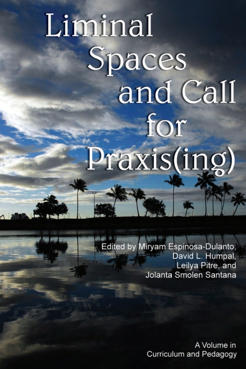 Cover image for book Liminal Spaces and Call for Praxis(ing)
