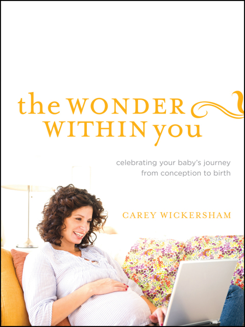 Cover image for book The Wonder Within You