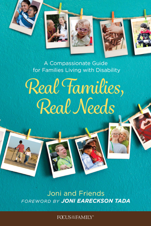 Cover image for book Real Families, Real Needs