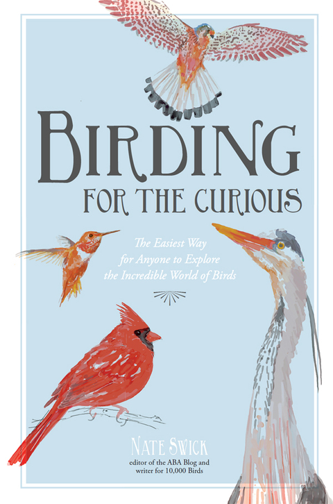 Cover image for book Birding for the Curious