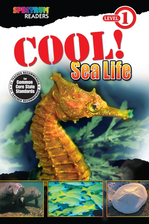 Cover image for book Cool! Sea Life