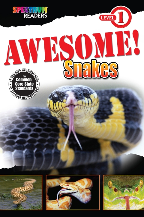Cover image for book Awesome! Snakes