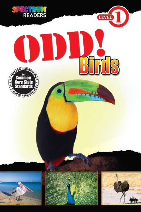 Cover image for book Odd! Birds