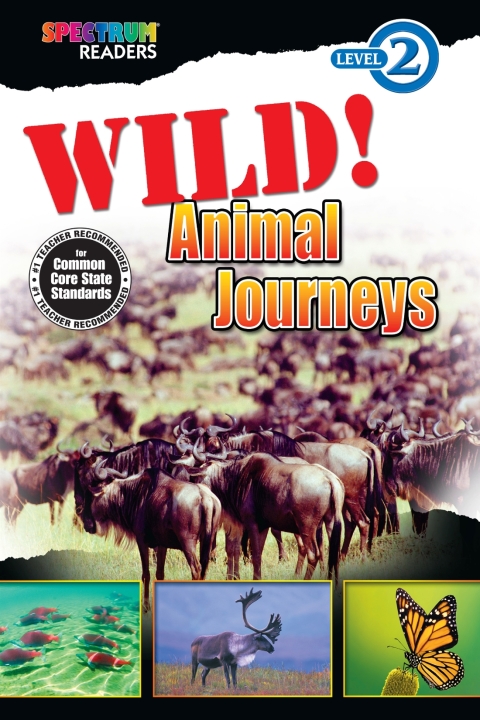 Cover image for book Wild! Animal Journeys