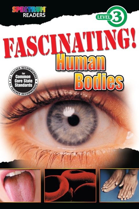 Cover image for book Fascinating! Human Bodies