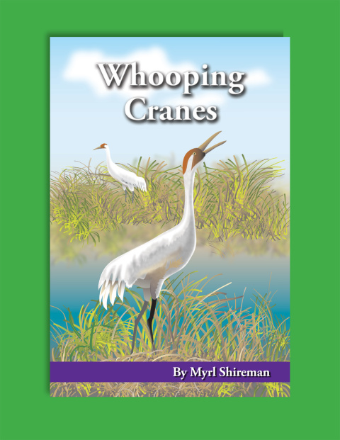Cover image for book Whooping Cranes