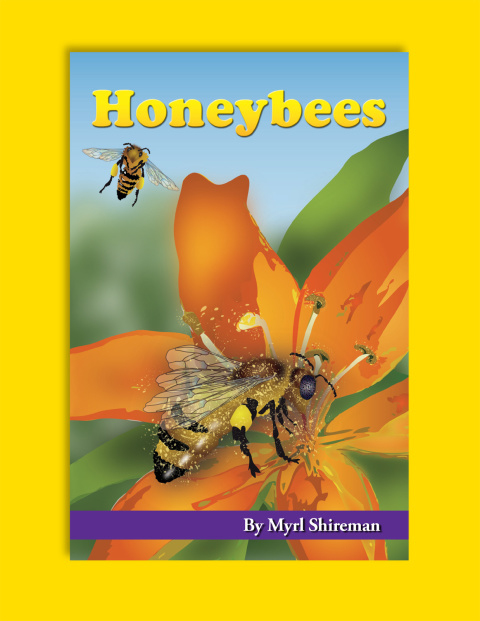 Cover image for book Honeybees