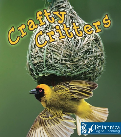 Cover image for book Crafty Critters