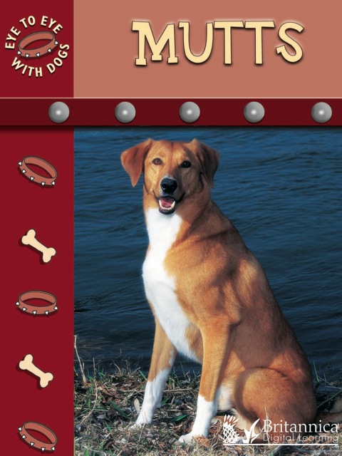 Cover image for book Mutts