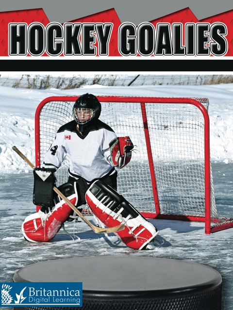 Cover image for book Hockey Goalies