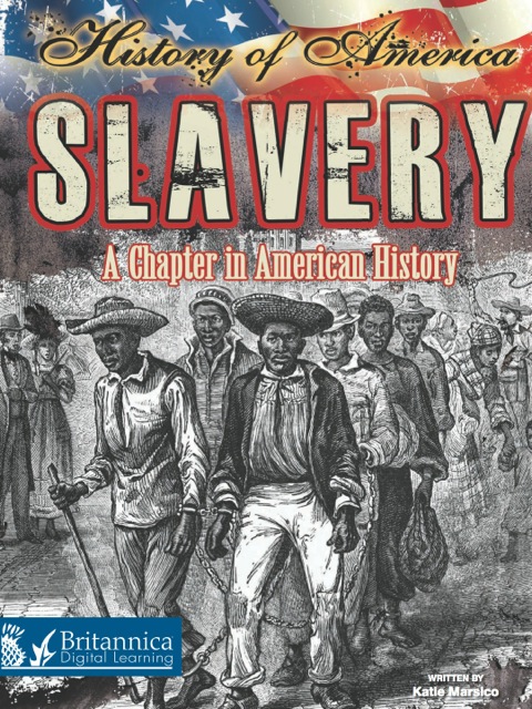 Cover image for book Slavery: A Chapter in American History