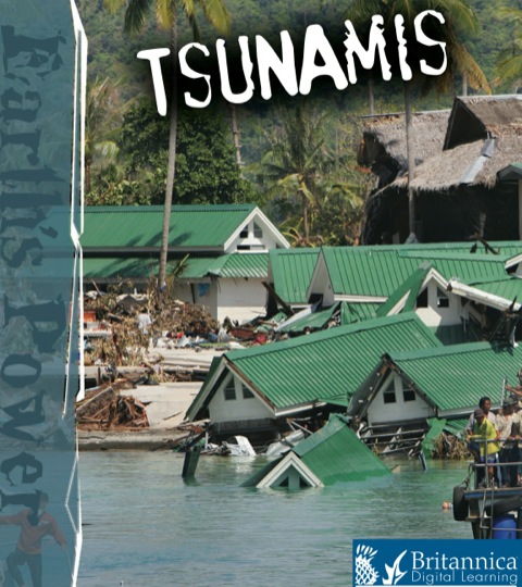 Cover image for book Tsunamis