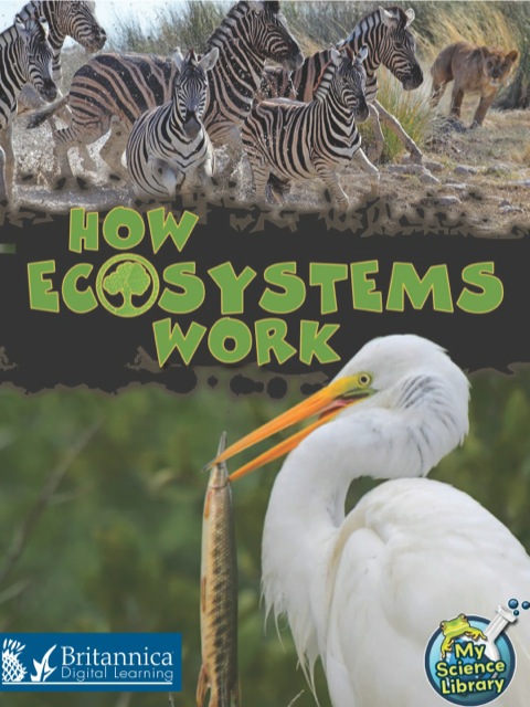 Cover image for book How Ecosystems Work
