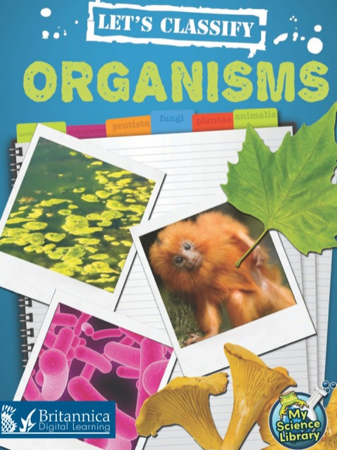 Cover image for book Let's Classify Organisms