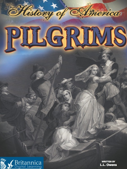 Cover image for book Pilgrims