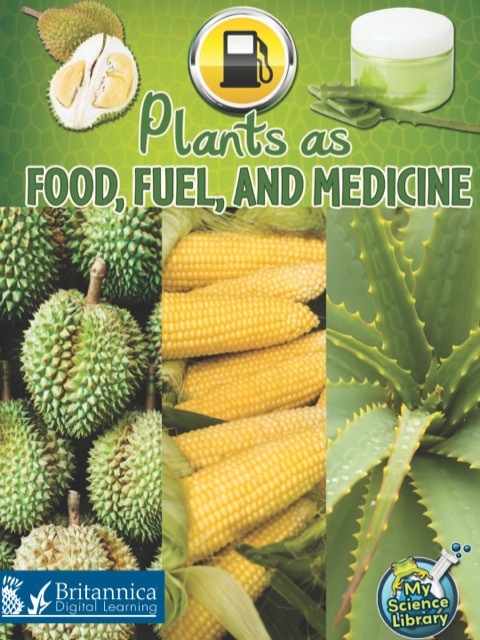 Cover image for book Plants as Food, Fuel, and Medicine