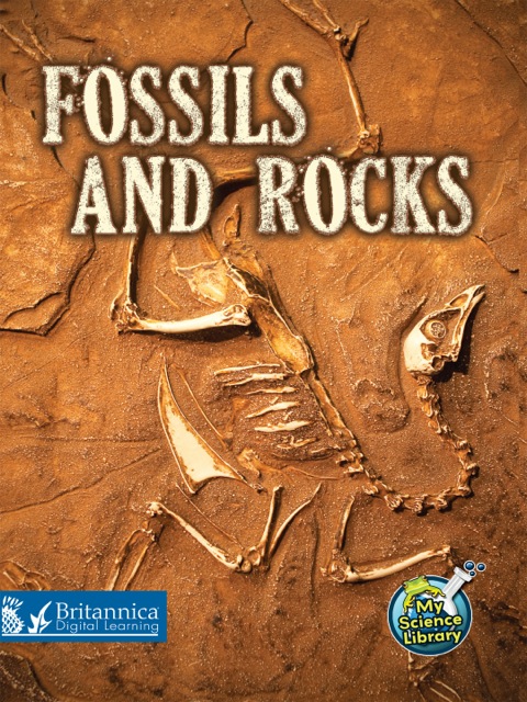 Cover image for book Fossils and Rocks