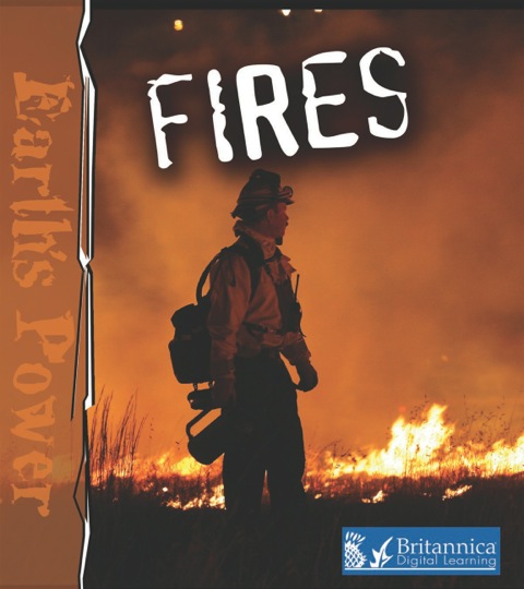 Cover image for book Fires