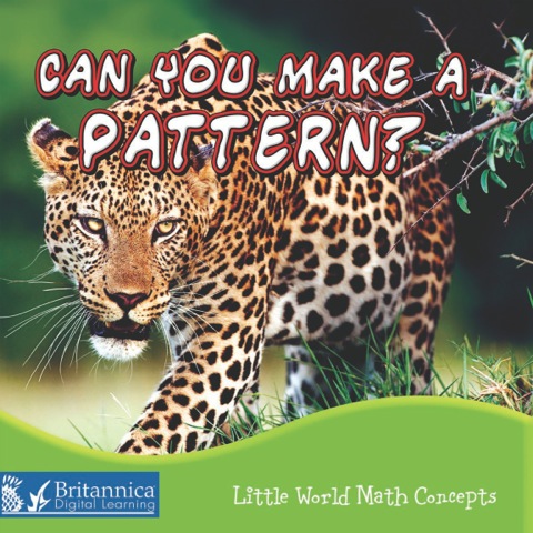 Cover image for book Can You Make a Pattern?
