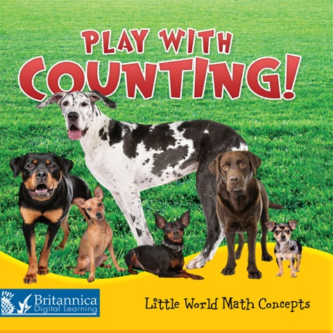 Cover image for book Play with Counting!