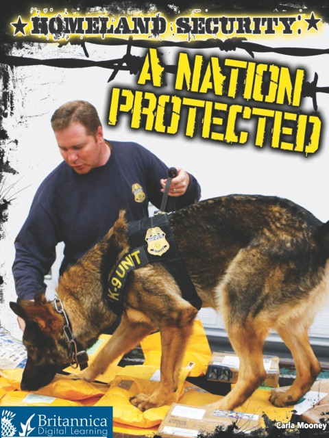 Cover image for book Homeland Security: A Nation Protected