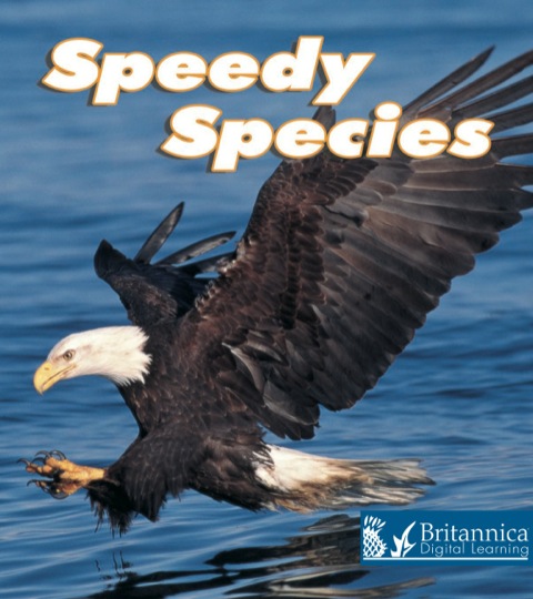Cover image for book Speedy Species