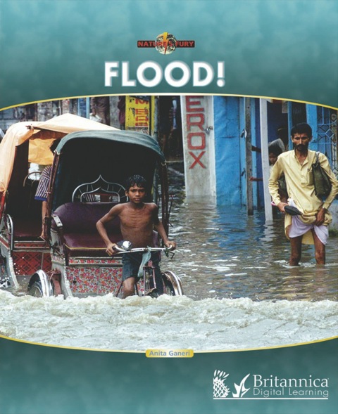 Cover image for book Flood!