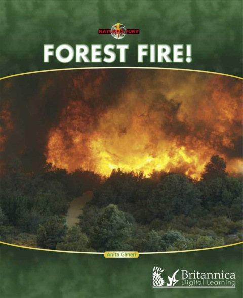 Cover image for book Forest Fire!