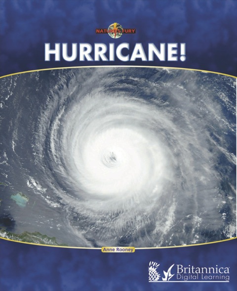 Cover image for book Hurricane!
